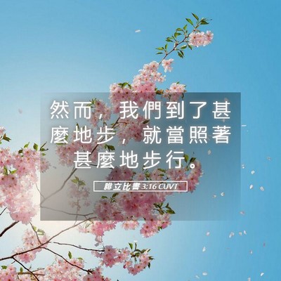 Picture 05 - 腓 立 比 書 3:16 CUVT - 然 而 ， 我 們 到 了 甚 麼 地 步 ， - Bible Verse Picture