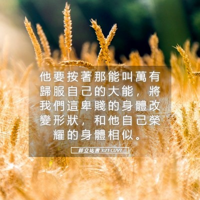 Picture 05 - 腓 立 比 書 3:21 CUVT - 他 要 按 著 那 能 叫 萬 有 歸 服 自 - Bible Verse Picture