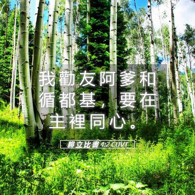 Picture 05 - 腓 立 比 書 4:2 CUVT - 我 勸 友 阿 爹 和 循 都 基 ， 要 在 - Bible Verse Picture