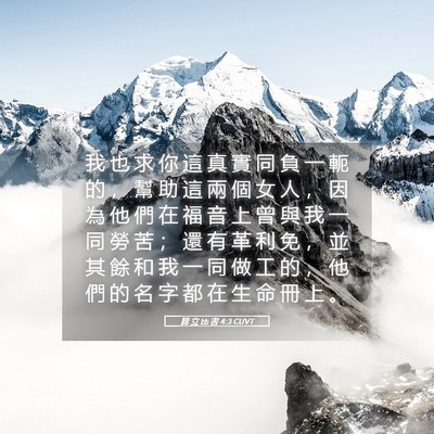 Picture 05 - 腓 立 比 書 4:3 CUVT - 我 也 求 你 這 真 實 同 負 一 軛 的 - Bible Verse Picture