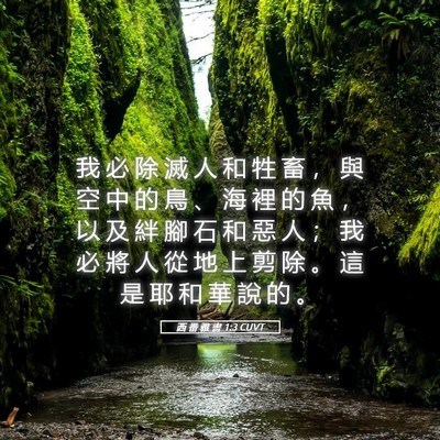 Picture 05 - 西 番 雅 書 1:3 CUVT - 我 必 除 滅 人 和 牲 畜 ， 與 空 中 - Bible Verse Picture