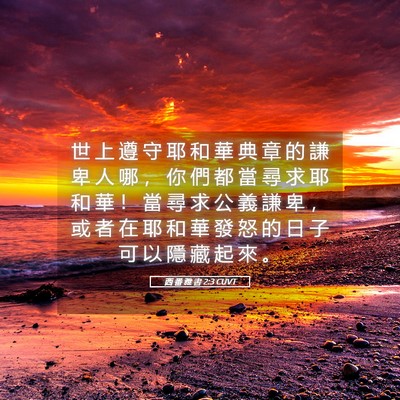 Picture 05 - 西 番 雅 書 2:3 CUVT - 世 上 遵 守 耶 和 華 典 章 的 謙 卑 - Bible Verse Picture