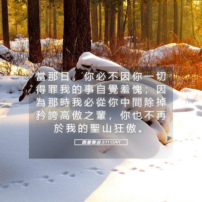 Picture 05 - 西 番 雅 書 3:11 CUVT - 當 那 日 ， 你 必 不 因 你 一 切 得 - Bible Verse Picture