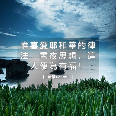 Picture 05 - 詩 篇 1:2 CUVT - 惟 喜 愛 耶 和 華 的 律 法 ， 晝 夜 - Bible Verse Picture