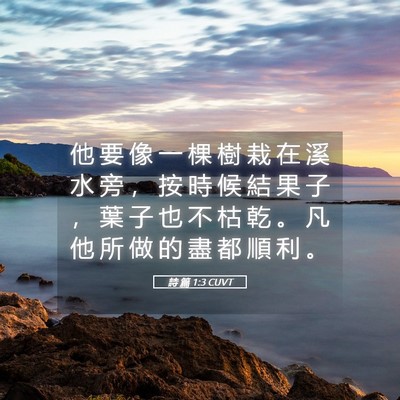 Picture 05 - 詩 篇 1:3 CUVT - 他 要 像 一 棵 樹 栽 在 溪 水 旁 ， - Bible Verse Picture