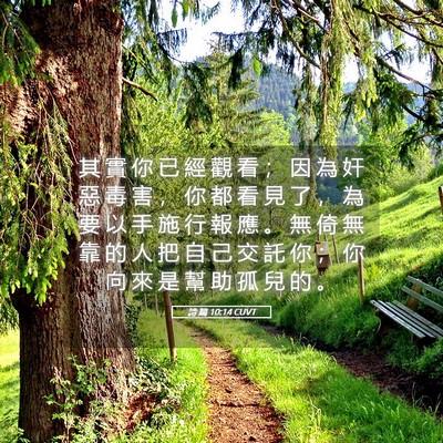 Picture 05 - 詩 篇 10:14 CUVT - 其 實 你 已 經 觀 看 ； 因 為 奸 惡 - Bible Verse Picture
