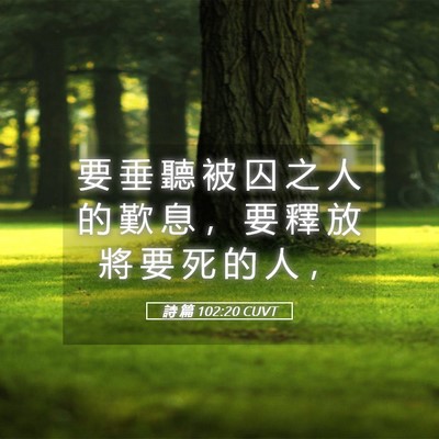 Picture 05 - 詩 篇 102:20 CUVT - 要 垂 聽 被 囚 之 人 的 歎 息 ， 要 - Bible Verse Picture