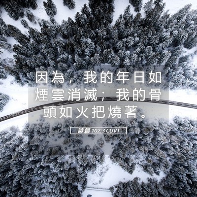 Picture 05 - 詩 篇 102:3 CUVT - 因 為 ， 我 的 年 日 如 煙 雲 消 滅 - Bible Verse Picture