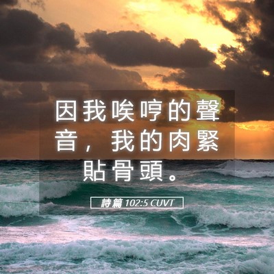 Picture 05 - 詩 篇 102:5 CUVT - 因 我 唉 哼 的 聲 音 ， 我 的 肉 緊 - Bible Verse Picture