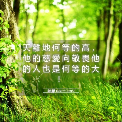 Picture 05 - 詩 篇 103:11 CUVT - 天 離 地 何 等 的 高 ， 他 的 慈 愛 - Bible Verse Picture