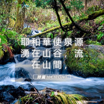 Picture 05 - 詩 篇 104:10 CUVT - 耶 和 華 使 泉 源 湧 在 山 谷 ， 流 - Bible Verse Picture