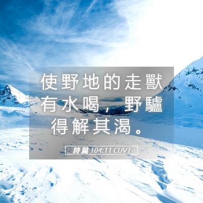 Picture 05 - 詩 篇 104:11 CUVT - 使 野 地 的 走 獸 有 水 喝 ， 野 驢 - Bible Verse Picture