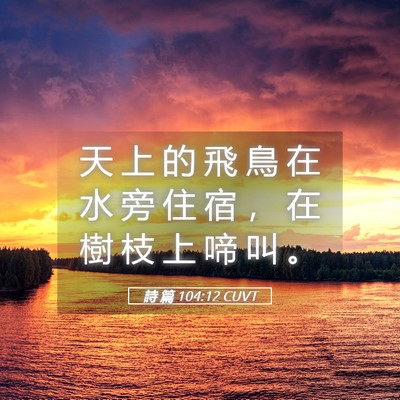 Picture 05 - 詩 篇 104:12 CUVT - 天 上 的 飛 鳥 在 水 旁 住 宿 ， 在 - Bible Verse Picture