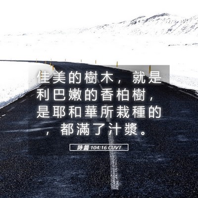Picture 05 - 詩 篇 104:16 CUVT - 佳 美 的 樹 木 ， 就 是 利 巴 嫩 的 - Bible Verse Picture