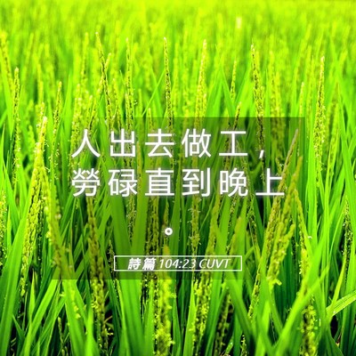 Picture 05 - 詩 篇 104:23 CUVT - 人 出 去 做 工 ， 勞 碌 直 到 晚 上 - Bible Verse Picture
