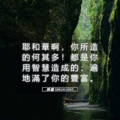 Picture 05 - 詩 篇 104:24 CUVT - 耶 和 華 啊 ， 你 所 造 的 何 其 多 - Bible Verse Picture