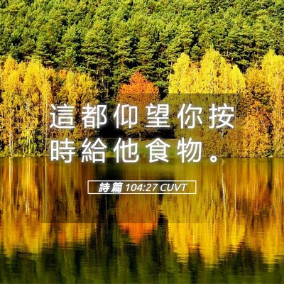 Picture 05 - 詩 篇 104:27 CUVT - 這 都 仰 望 你 按 時 給 他 食 物 - Bible Verse Picture
