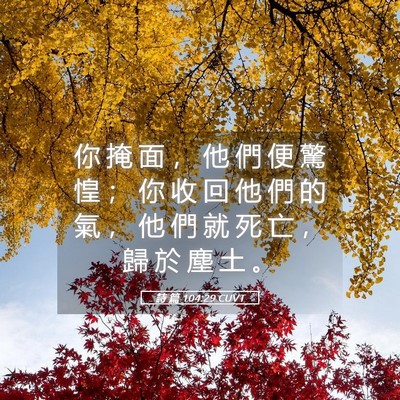 Picture 05 - 詩 篇 104:29 CUVT - 你 掩 面 ， 他 們 便 驚 惶 ； 你 收 - Bible Verse Picture