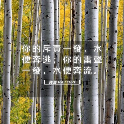 Picture 05 - 詩 篇 104:7 CUVT - 你 的 斥 責 一 發 ， 水 便 奔 逃 ； - Bible Verse Picture