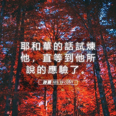 Picture 05 - 詩 篇 105:19 CUVT - 耶 和 華 的 話 試 煉 他 ， 直 等 到 - Bible Verse Picture
