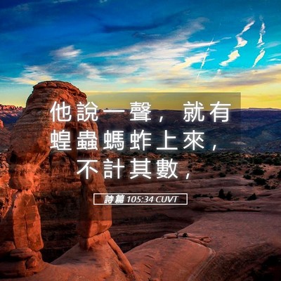 Picture 05 - 詩 篇 105:34 CUVT - 他 說 一 聲 ， 就 有 蝗 蟲 螞 蚱 上 - Bible Verse Picture