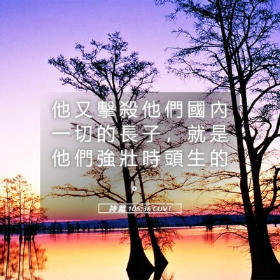 Picture 05 - 詩 篇 105:36 CUVT - 他 又 擊 殺 他 們 國 內 一 切 的 長 - Bible Verse Picture