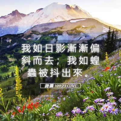 Picture 05 - 詩 篇 109:23 CUVT - 我 如 日 影 漸 漸 偏 斜 而 去 ； 我 - Bible Verse Picture
