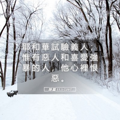 Picture 05 - 詩 篇 11:5 CUVT - 耶 和 華 試 驗 義 人 ； 惟 有 惡 人 - Bible Verse Picture