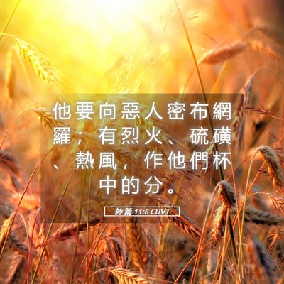 Picture 05 - 詩 篇 11:6 CUVT - 他 要 向 惡 人 密 布 網 羅 ； 有 烈 - Bible Verse Picture