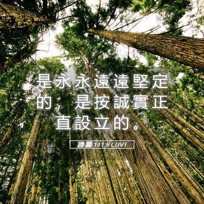 Picture 05 - 詩 篇 111:8 CUVT - 是 永 永 遠 遠 堅 定 的 ， 是 按 誠 - Bible Verse Picture
