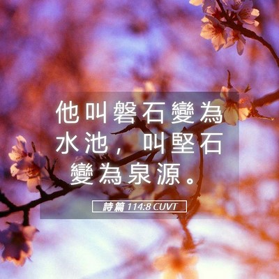 Picture 05 - 詩 篇 114:8 CUVT - 他 叫 磐 石 變 為 水 池 ， 叫 堅 石 - Bible Verse Picture