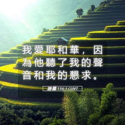 Picture 05 - 詩 篇 116:1 CUVT - 我 愛 耶 和 華 ， 因 為 他 聽 了 我 - Bible Verse Picture
