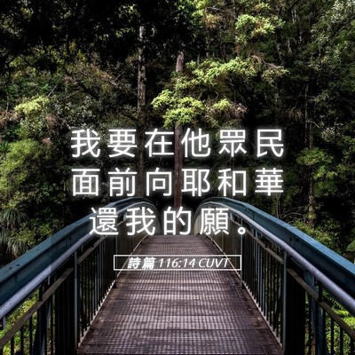 Picture 05 - 詩 篇 116:14 CUVT - 我 要 在 他 眾 民 面 前 向 耶 和 華 - Bible Verse Picture