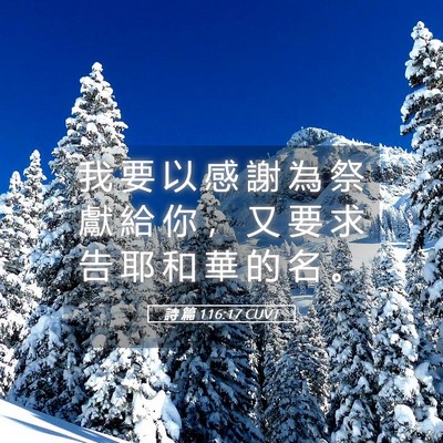 Picture 05 - 詩 篇 116:17 CUVT - 我 要 以 感 謝 為 祭 獻 給 你 ， 又 - Bible Verse Picture