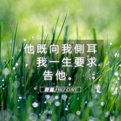 Picture 05 - 詩 篇 116:2 CUVT - 他 既 向 我 側 耳 ， 我 一 生 要 求 - Bible Verse Picture