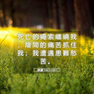 Picture 05 - 詩 篇 116:3 CUVT - 死 亡 的 繩 索 纏 繞 我 ； 陰 間 的 - Bible Verse Picture