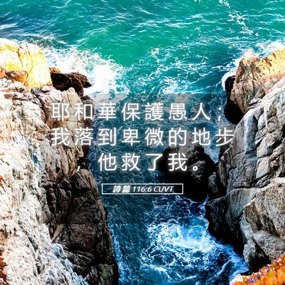 Picture 05 - 詩 篇 116:6 CUVT - 耶 和 華 保 護 愚 人 ； 我 落 到 卑 - Bible Verse Picture