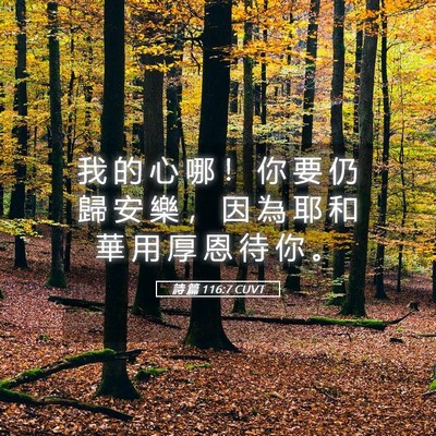 Picture 05 - 詩 篇 116:7 CUVT - 我 的 心 哪 ！ 你 要 仍 歸 安 樂 ， - Bible Verse Picture