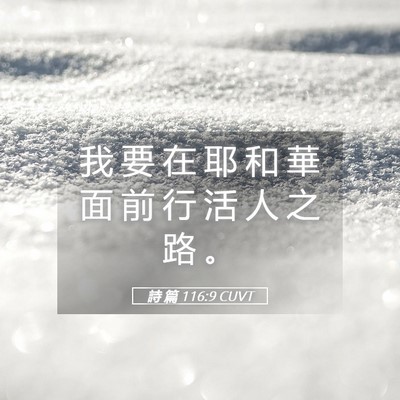 Picture 05 - 詩 篇 116:9 CUVT - 我 要 在 耶 和 華 面 前 行 活 人 之 - Bible Verse Picture