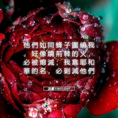 Picture 05 - 詩 篇 118:12 CUVT - 他 們 如 同 蜂 子 圍 繞 我 ， 好 像 - Bible Verse Picture