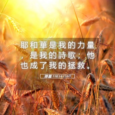 Picture 05 - 詩 篇 118:14 CUVT - 耶 和 華 是 我 的 力 量 ， 是 我 的 - Bible Verse Picture