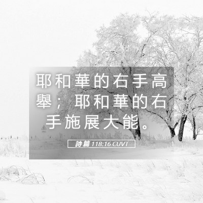 Picture 05 - 詩 篇 118:16 CUVT - 耶 和 華 的 右 手 高 舉 ； 耶 和 華 - Bible Verse Picture