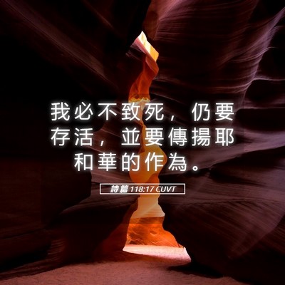 Picture 05 - 詩 篇 118:17 CUVT - 我 必 不 致 死 ， 仍 要 存 活 ， 並 - Bible Verse Picture