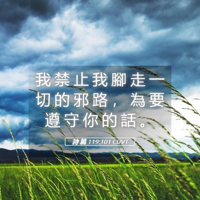 Picture 05 - 詩 篇 119:101 CUVT - 我 禁 止 我 腳 走 一 切 的 邪 路 ， - Bible Verse Picture