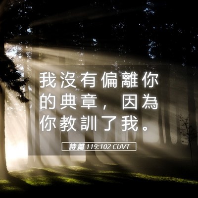 Picture 05 - 詩 篇 119:102 CUVT - 我 沒 有 偏 離 你 的 典 章 ， 因 為 - Bible Verse Picture