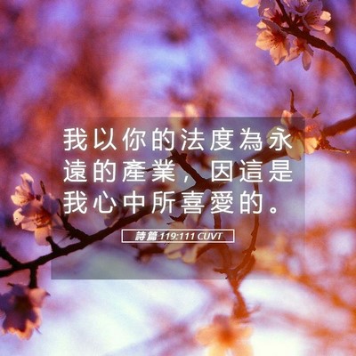 Picture 05 - 詩 篇 119:111 CUVT - 我 以 你 的 法 度 為 永 遠 的 產 業 - Bible Verse Picture