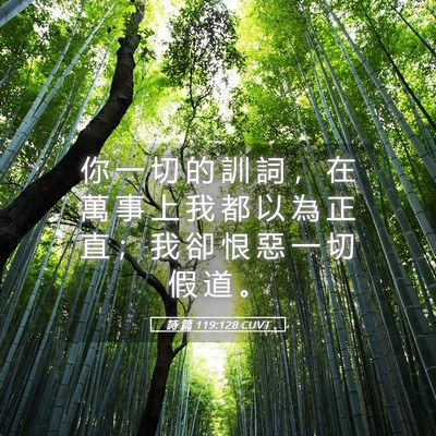 Picture 05 - 詩 篇 119:128 CUVT - 你 一 切 的 訓 詞 ， 在 萬 事 上 我 - Bible Verse Picture