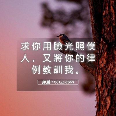 Picture 05 - 詩 篇 119:135 CUVT - 求 你 用 臉 光 照 僕 人 ， 又 將 你 - Bible Verse Picture