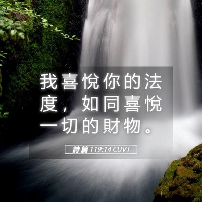 Picture 05 - 詩 篇 119:14 CUVT - 我 喜 悅 你 的 法 度 ， 如 同 喜 悅 - Bible Verse Picture