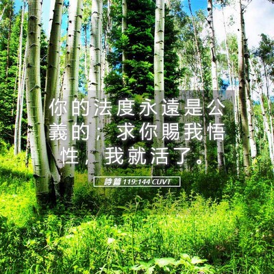 Picture 05 - 詩 篇 119:144 CUVT - 你 的 法 度 永 遠 是 公 義 的 ； 求 - Bible Verse Picture